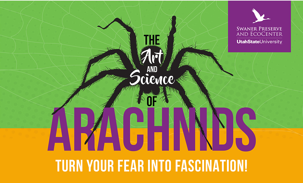 Art and Science of Arachnids Logo