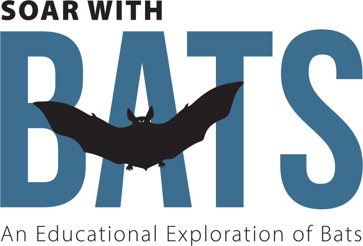 SOAR with Bats Logo